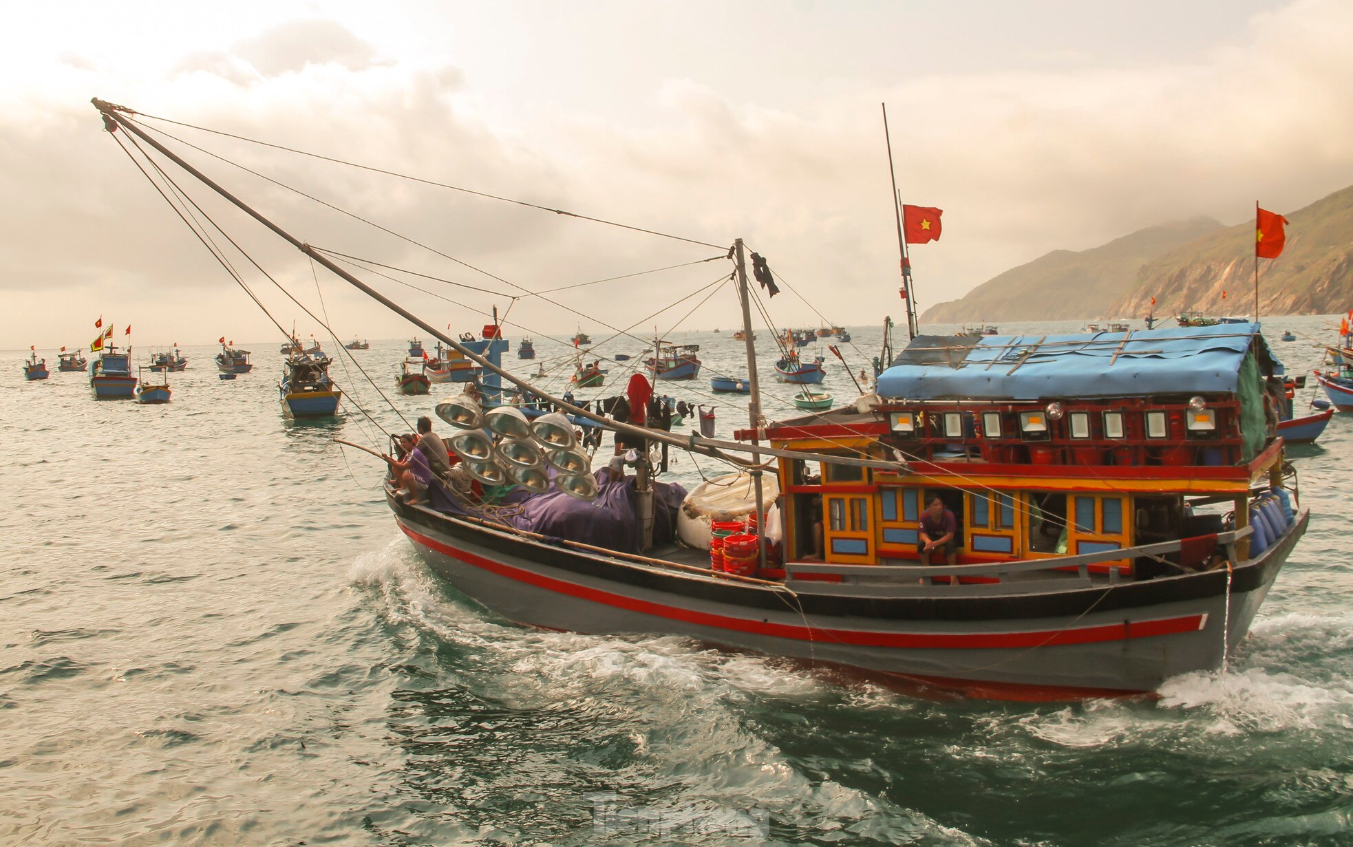 Ngư dân Bình Định trúng đậm lộc biển, thu 225 tấn ruốc, cá cơm sau 3 ngày ảnh 6