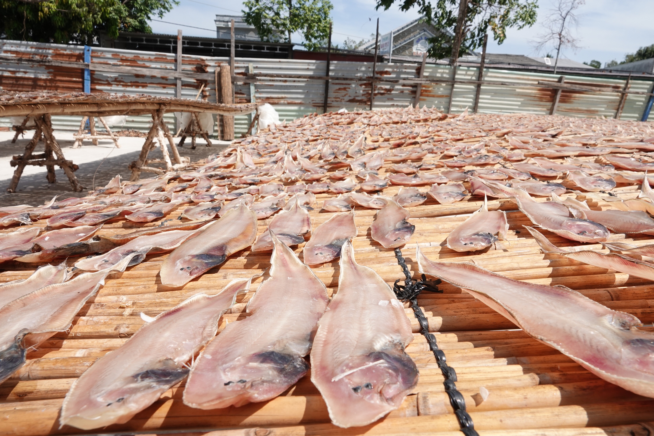 Ghé làng khô cá biển Sóc Trăng, choáng ngợp trước 50 loại khô- Ảnh 4. Ghé làng khô cá biển Sóc Trăng, choáng ngợp trước 50 loại khô- Ảnh 4.