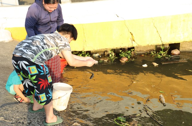 Cận cảnh bắt cá phóng sinh bán lại cho người đi thả ở sát sông Sài Gòn ảnh 2