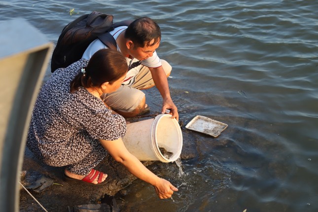 Cận cảnh bắt cá phóng sinh bán lại cho người đi thả ở sát sông Sài Gòn ảnh 3