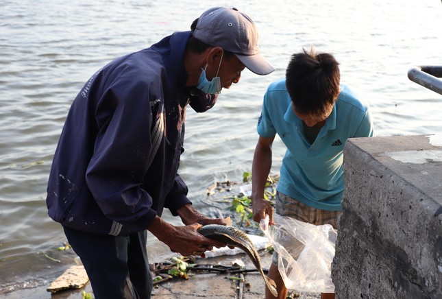 Cận cảnh bắt cá phóng sinh bán lại cho người đi thả ở sát sông Sài Gòn ảnh 9