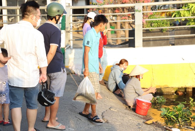 Cận cảnh bắt cá phóng sinh bán lại cho người đi thả ở sát sông Sài Gòn ảnh 10