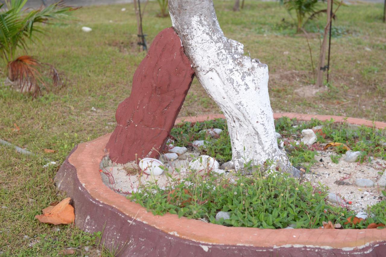 24-4 - Vietnam.vn Mầm xanh Trường Sa