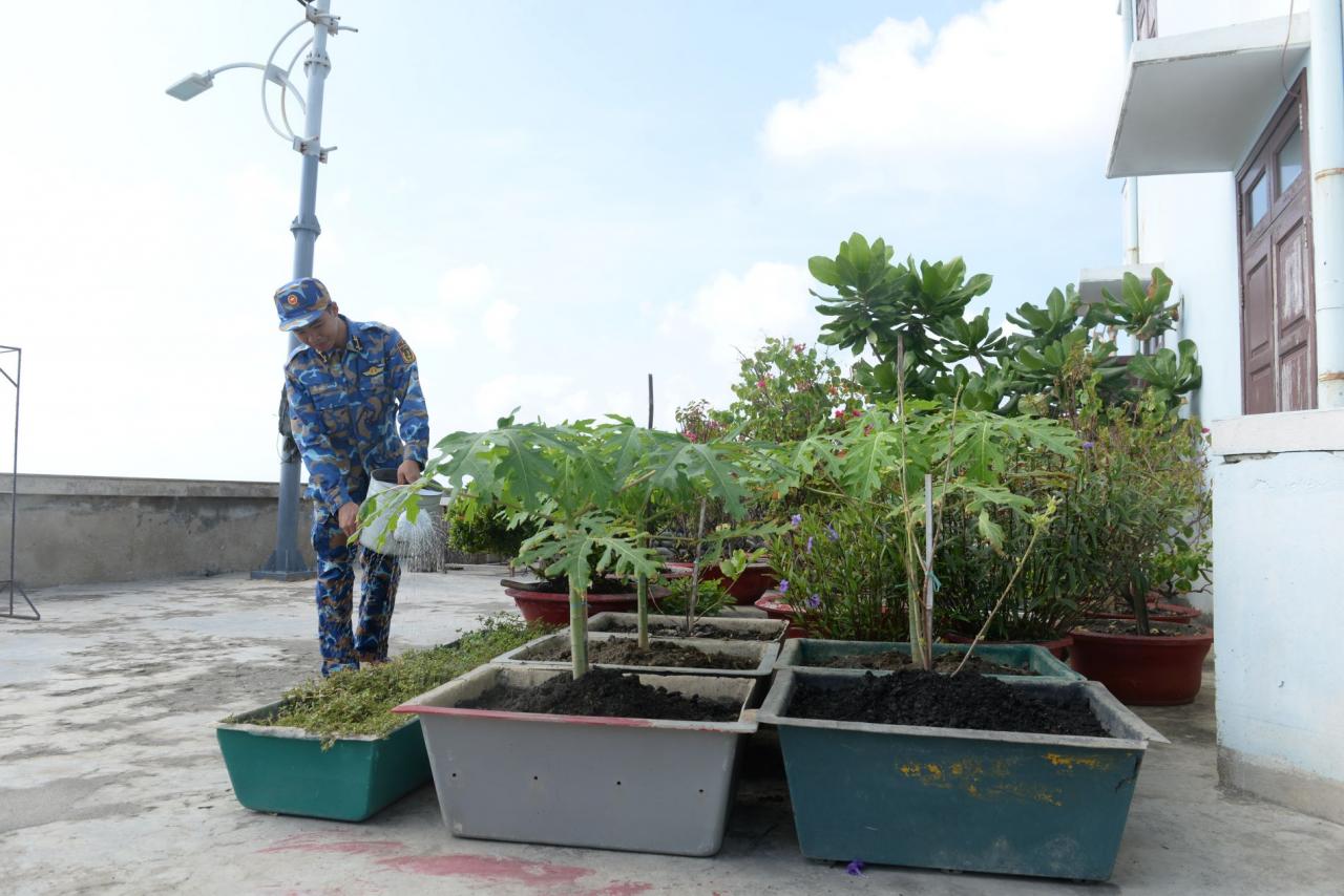 28-4 - Vietnam.vn Mầm xanh Trường Sa
