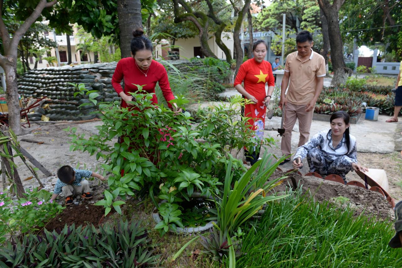 Mầm xanh Trường Sa