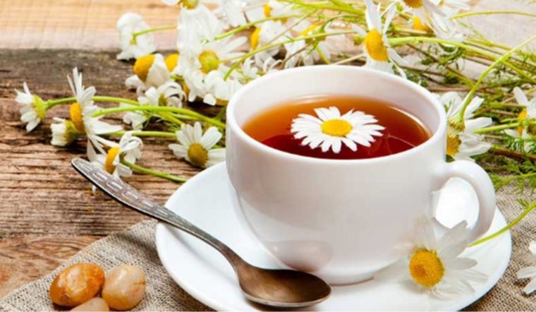 8 loại trà giúp phòng ngừa cảm lạnh- Ảnh 1. 8 loại trà giúp phòng ngừa cảm lạnh- Ảnh 1.