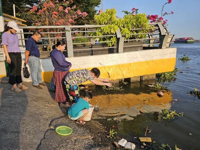 Cận cảnh bắt cá phóng sinh bán lại cho người đi thả ở sát sông Sài Gòn ảnh 1