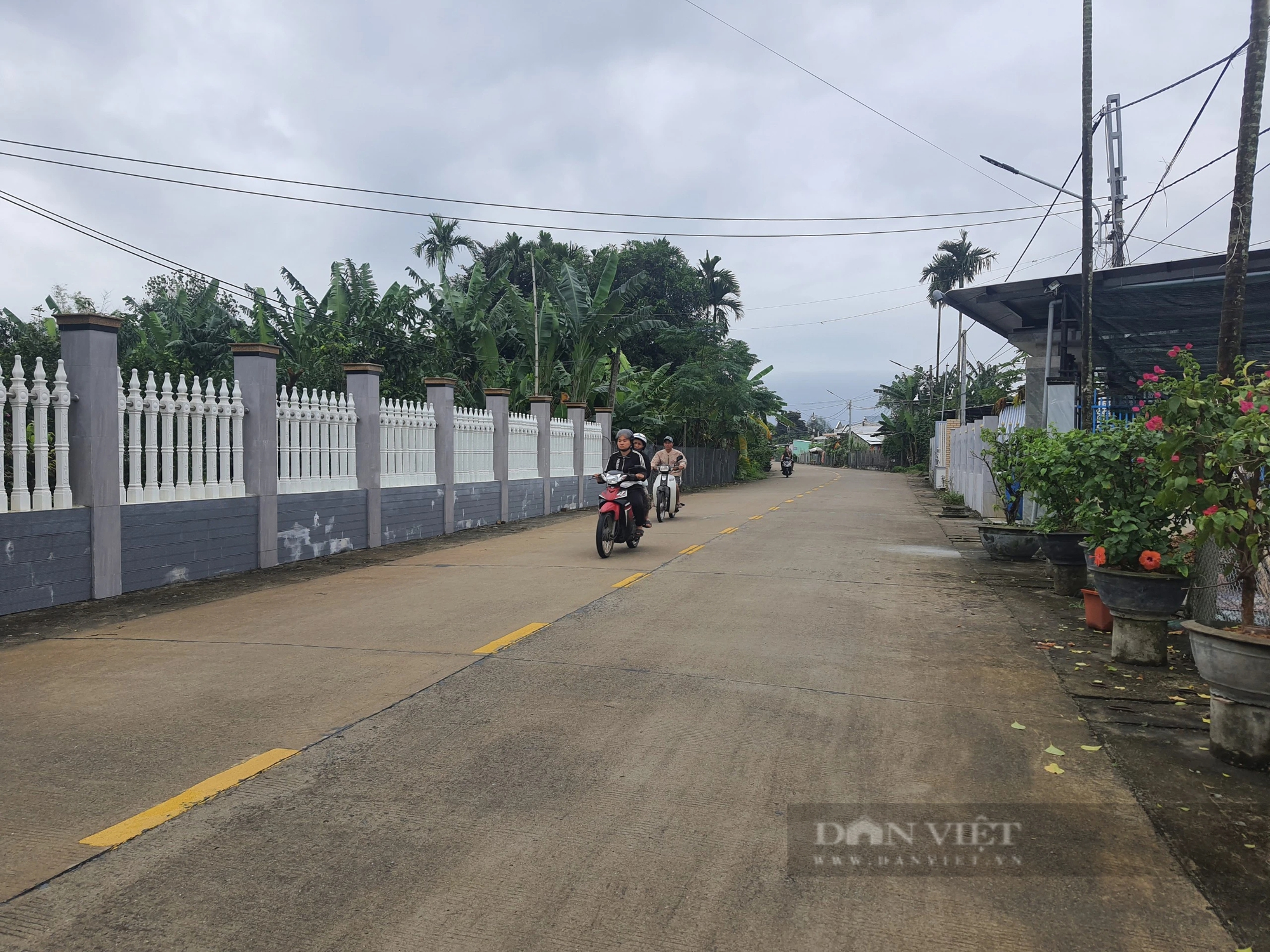 Cảnh quan đẹp ở xã Đại Thắng-đất anh hùng của Quảng Nam, nơi đang xây dựng nông thôn mới kiểu mẫu- Ảnh 1. Cảnh quan đẹp ở xã Đại Thắng-đất anh hùng của Quảng Nam, nơi đang xây dựng nông thôn mới kiểu mẫu- Ảnh 1.