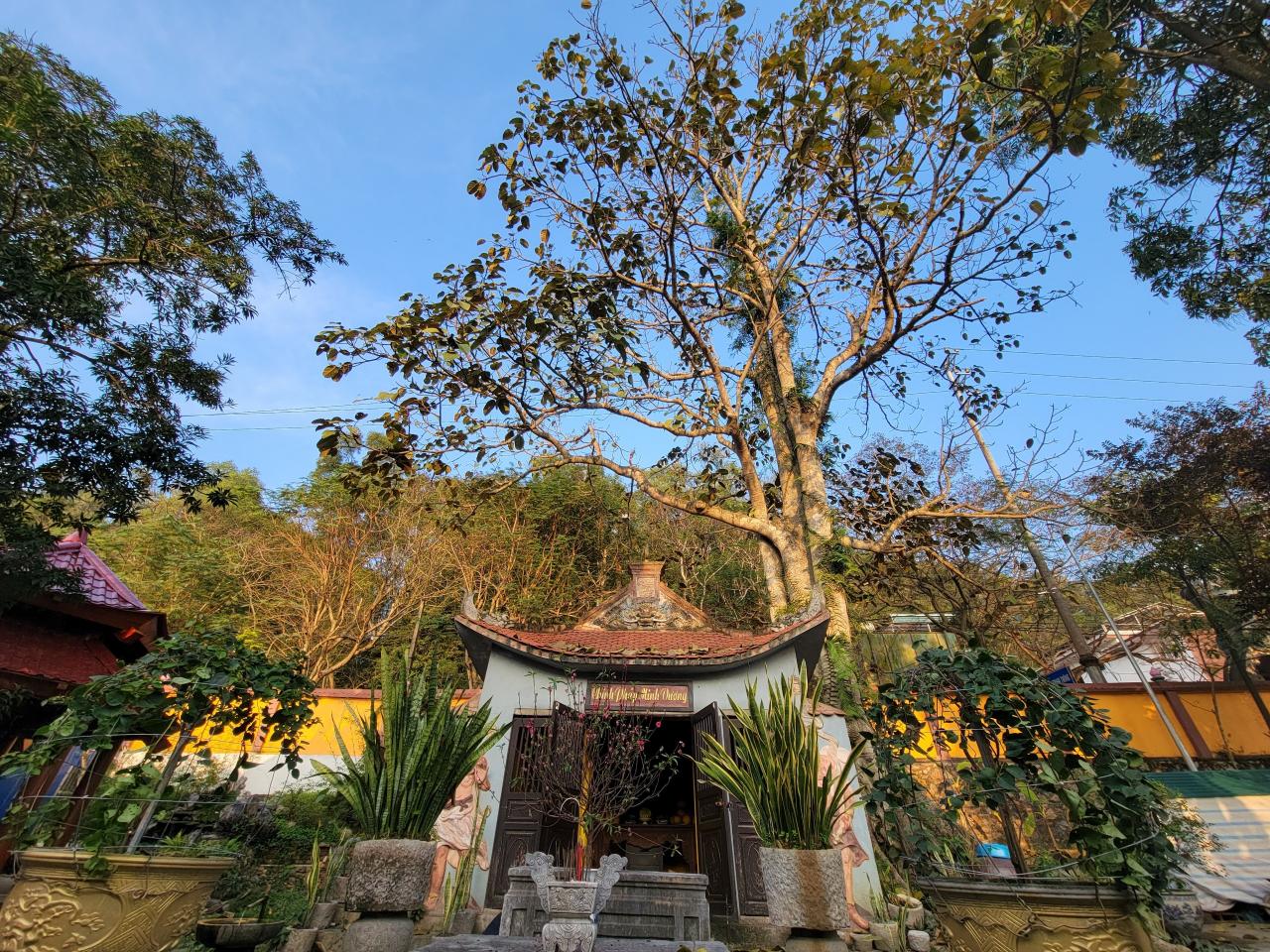 Chuadongson-2 - Vietnam.vn Chùa đã xây mới nhà Tam Bảo, phần chùa cũ hiện phía sau tòa Tam Bảo vẫn còn nguyên hiện trạng. Đông Sơn Cổ Tự đã được xếp hạng di tích cấp tỉnh.