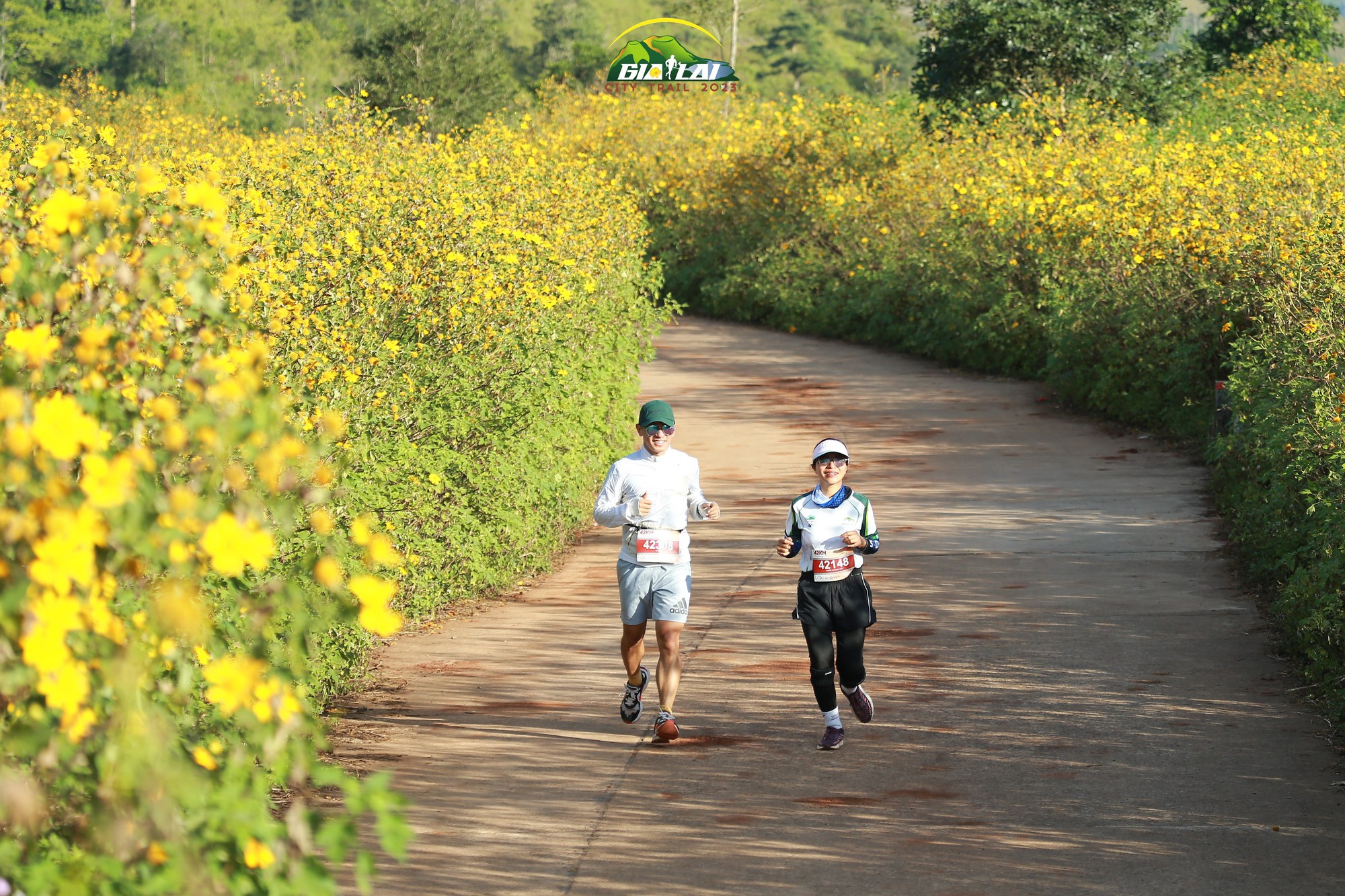 Hơn 4.000 runer tham gia giải chạy "Giấc mơ đại ngàn” - Ảnh 1. Hơn 4.000 runer tham gia giải chạy "Giấc mơ đại ngàn” - Ảnh 1.