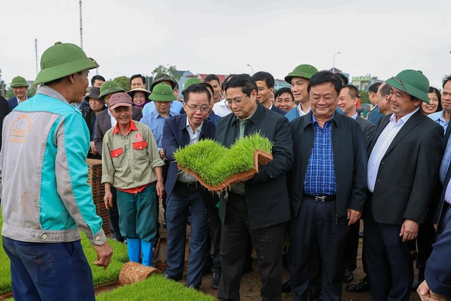 Đầu năm mới, Thủ tướng cùng nông dân cấy lúa, thu hoạch cà rốt- Ảnh 1. Đầu năm mới, Thủ tướng cùng nông dân cấy lúa, thu hoạch cà rốt- Ảnh 1.