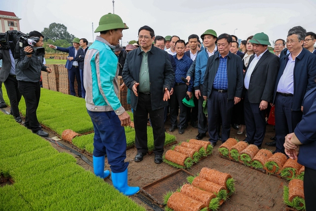 Đầu năm mới, Thủ tướng cùng nông dân cấy lúa, thu hoạch cà rốt- Ảnh 2. Đầu năm mới, Thủ tướng cùng nông dân cấy lúa, thu hoạch cà rốt- Ảnh 2.