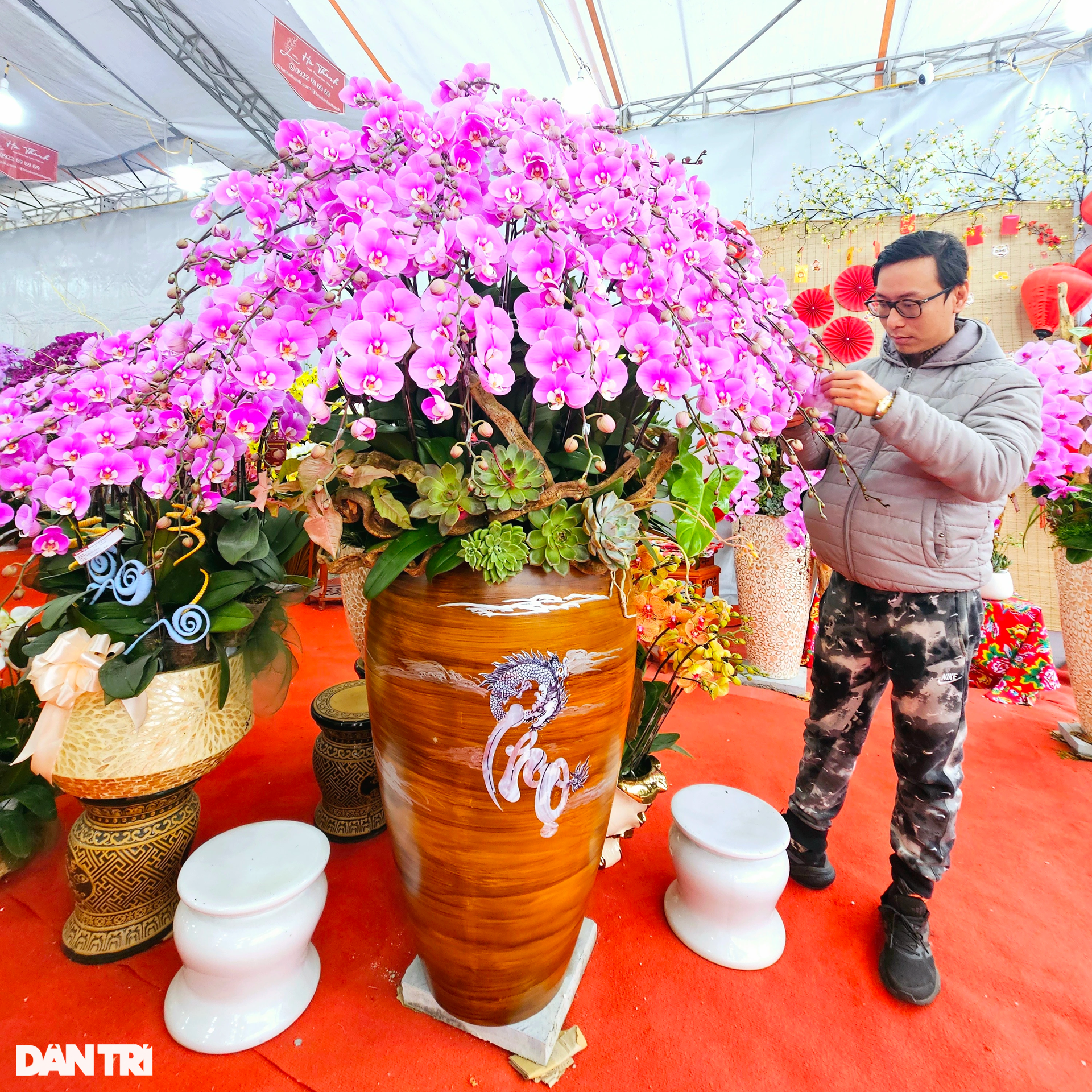 龍蘭鉢 万年青鉢 金彩龍図 蘭鉢 盆栽鉢 植木鉢 東洋ラン おもと