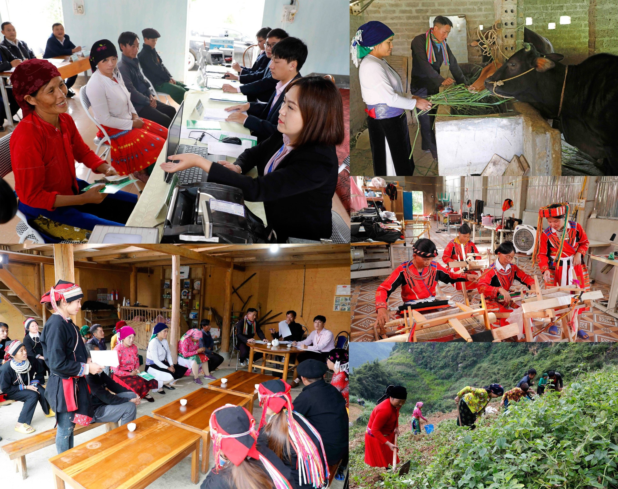 Tín dụng chính sách đã và đang hỗ trợ đầu tư sản xuất, kinh doanh, tạo việc làm cho hàng triệu hộ nghèo và đồng bào DTTS ở vùng sâu, vùng xa trong cả nước