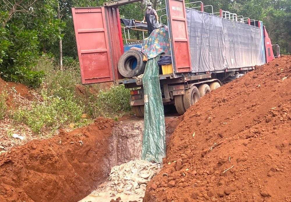 Khởi tố bị can trong vụ vận chuyển cá tầm trái phép qua cửa khẩu- Ảnh 1. Khởi tố bị can trong vụ vận chuyển cá tầm trái phép qua cửa khẩu- Ảnh 1.