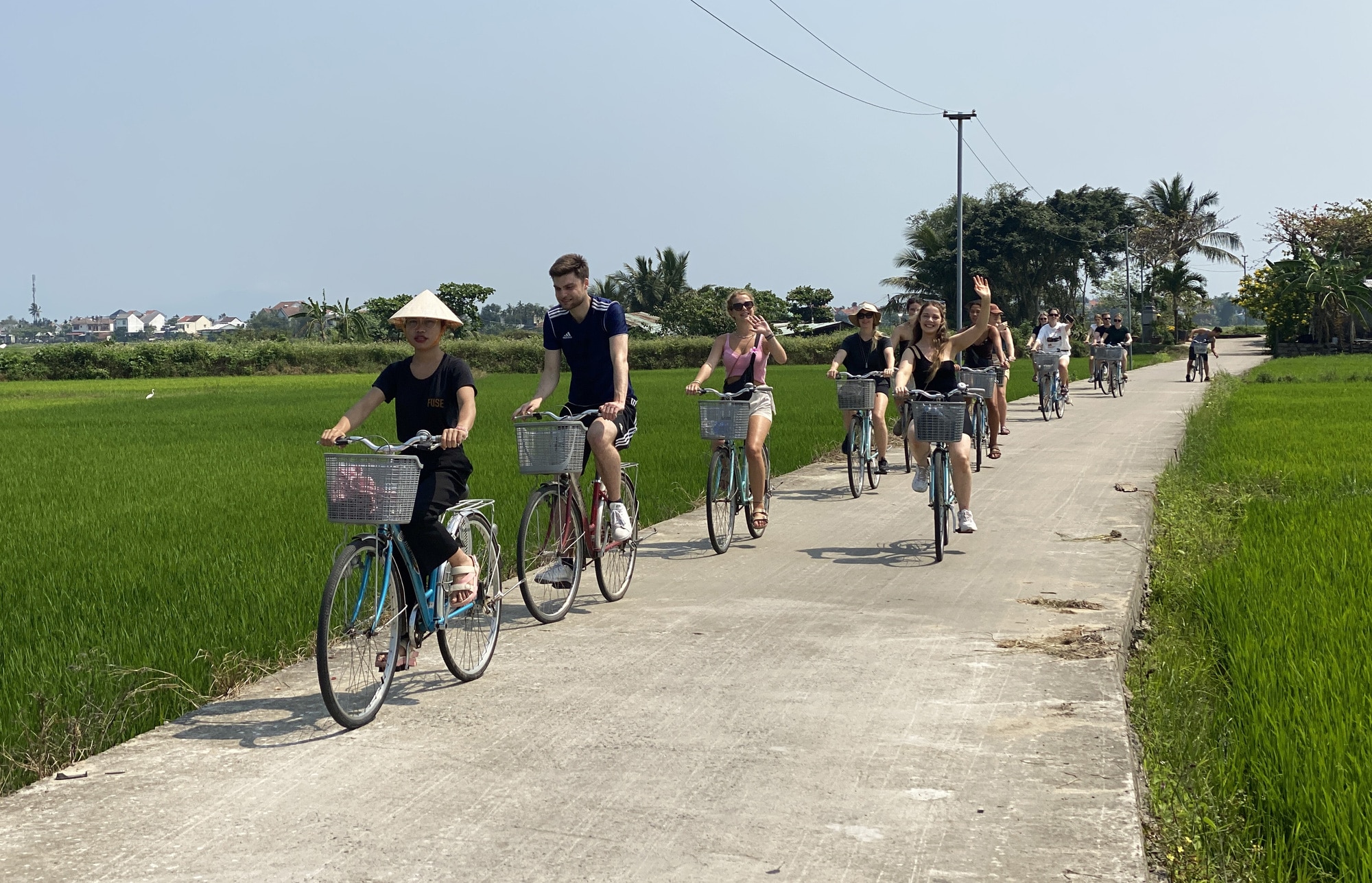 Nhóm khách Tây thích thú khi đạp xe qua đồng lúa - Ảnh: B.D.