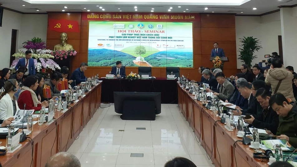 Mỗi năm trồng hàng trăm nghìn ha rừng, hết 'đói' nguyên liệu gỗ- Ảnh 1. Mỗi năm trồng hàng trăm nghìn ha rừng, hết 'đói' nguyên liệu gỗ- Ảnh 1.