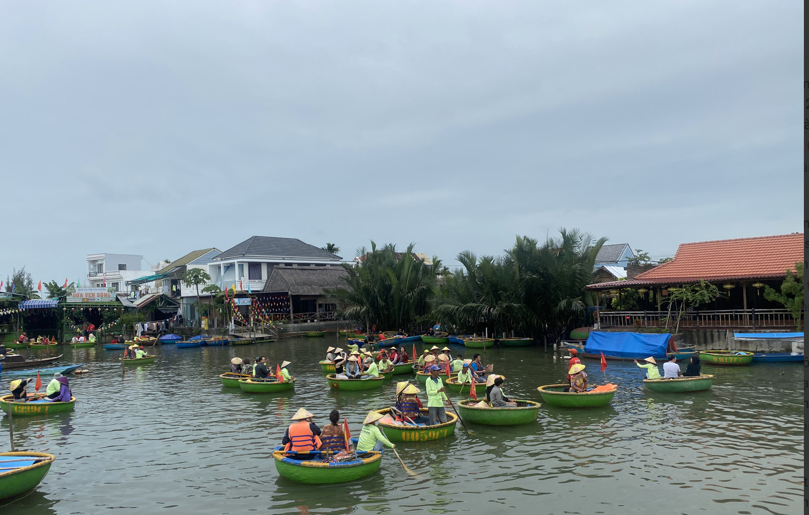 Nghề đan võng và nghề dựng nhà tre, dừa được đưa vào danh mục di sản- Ảnh 2. Rừng dừa Cẩm Thanh là nơi có lượng nhà tre, dừa nhiều nhất tại Hội An - Ảnh: B.D.