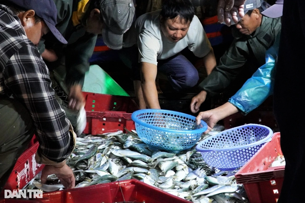 Ngư dân trúng đậm lộc biển, chợ cá nhộn nhịp từ 3h sáng - 2