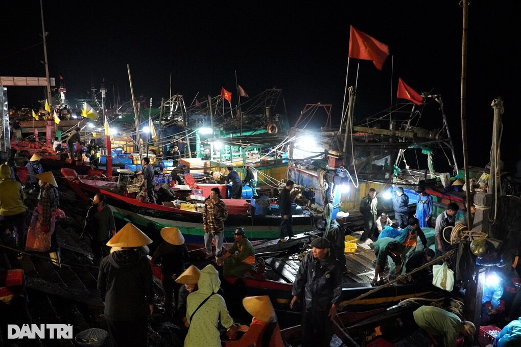 Ngư dân trúng đậm lộc biển, chợ cá nhộn nhịp từ 3h sáng - 1