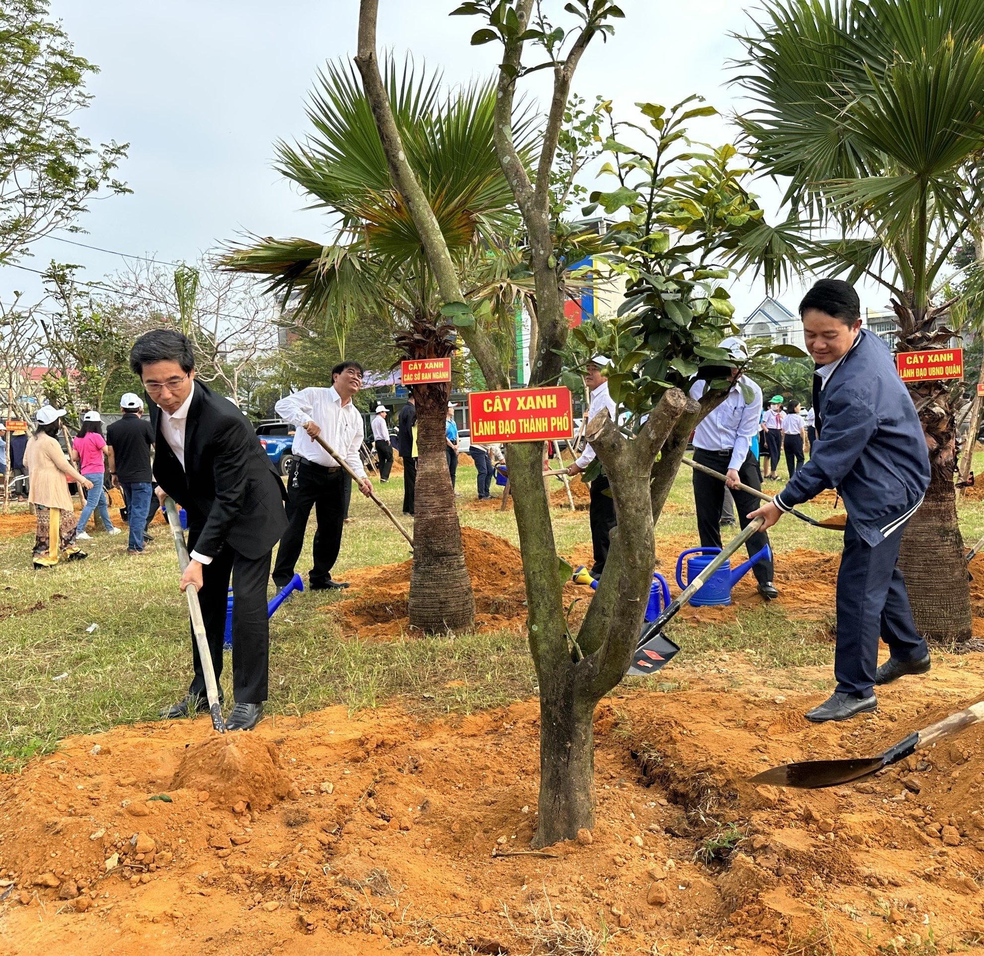 Tết trồng cây: Phủ xanh các khu dân cư mới ở tây bắc Đà Nẵng- Ảnh 1.