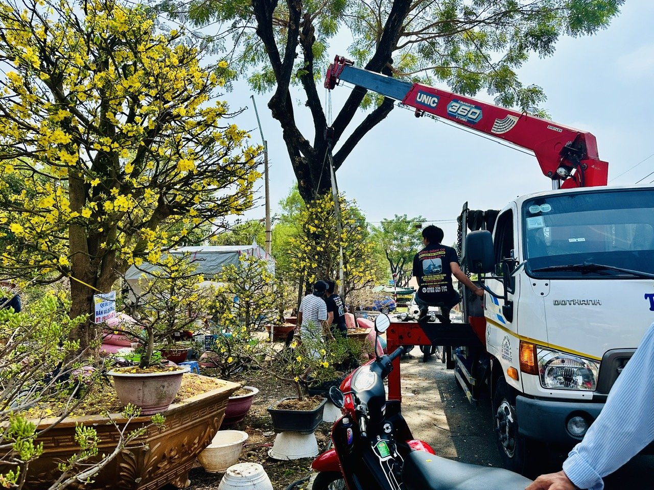 Sôi động mua sắm trước tết- Ảnh 1. Sôi động mua sắm trước tết- Ảnh 1.