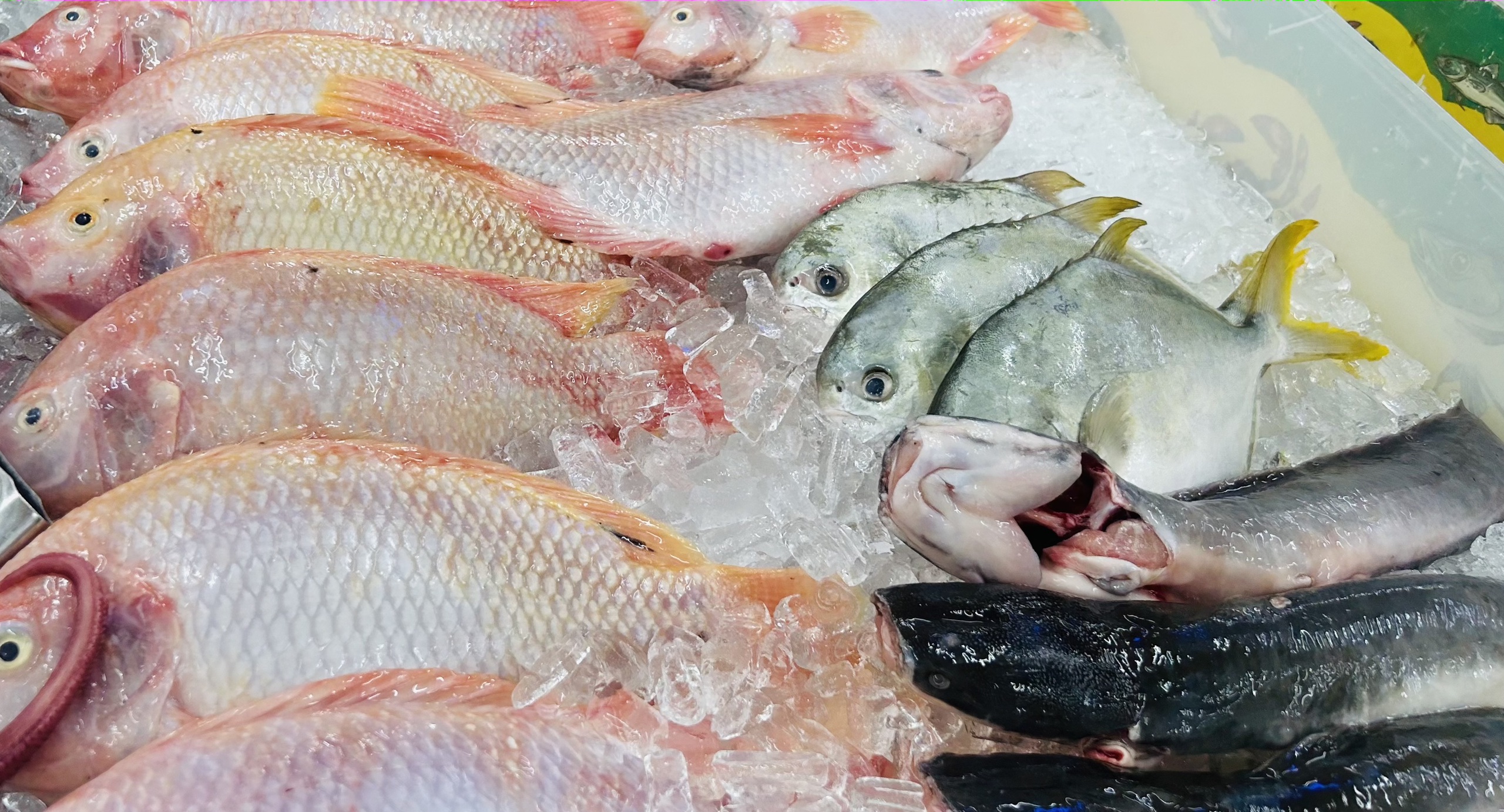 Thời gian bảo quản thịt, cá, hải sản đông lạnh là bao lâu?- Ảnh 2. Thời gian bảo quản thịt, cá, hải sản đông lạnh là bao lâu?- Ảnh 2.