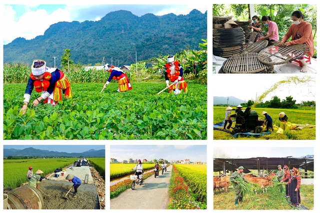 Triển khai Nghị quyết của Quốc hội về cơ chế đặc thù thực hiện các chương trình mục tiêu quốc gia- Ảnh 1.