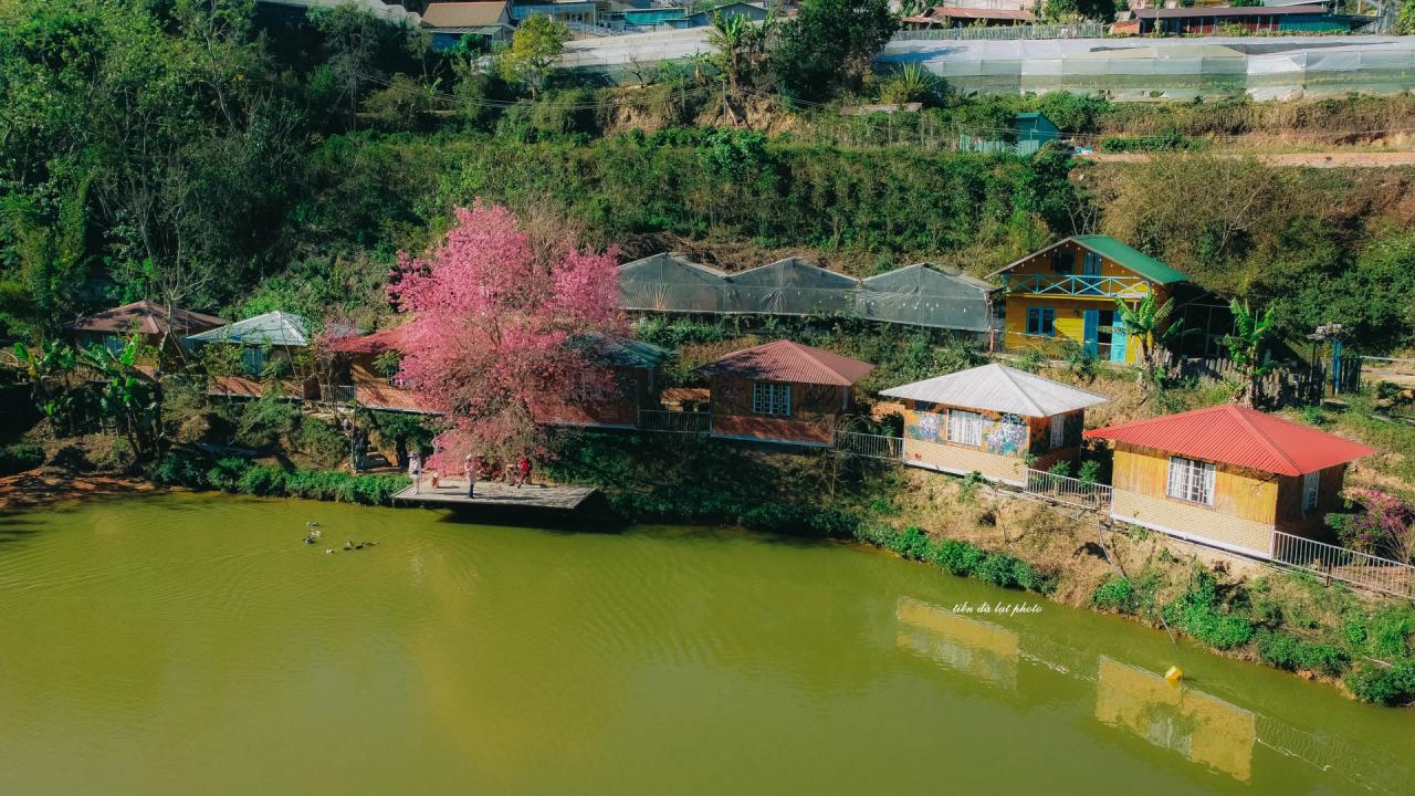 bunny-farm-167-3-1 - Vietnam.vn bunny farm.jpg