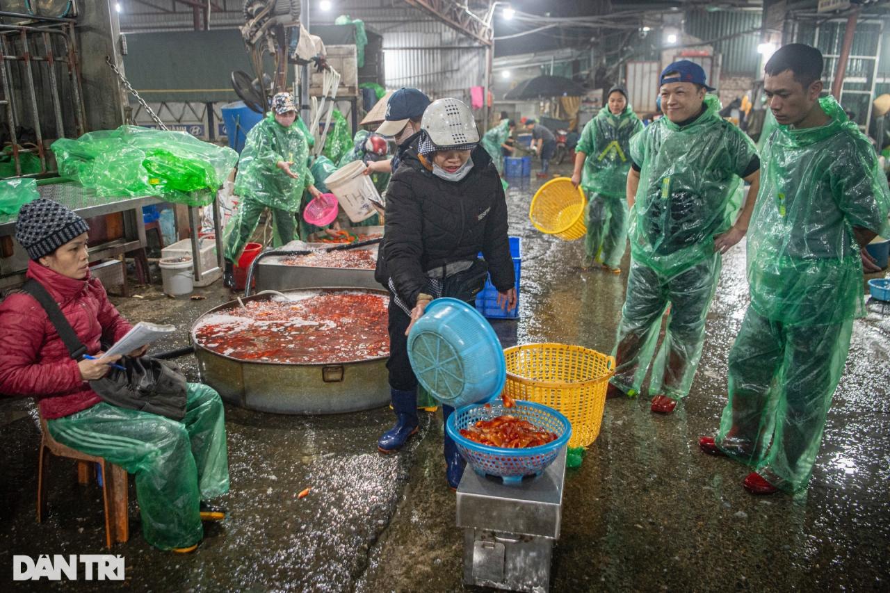 Chợ cá lớn nhất Hà Nội tấp nập, tiểu thương vẫn lo vì cá chép đỏ rớt giá - 8 Chợ cá lớn nhất Hà Nội tấp nập, tiểu thương vẫn lo vì cá chép đỏ rớt giá - 8