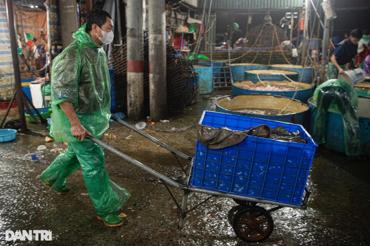 Chợ cá lớn nhất Hà Nội tấp nập, tiểu thương vẫn lo vì cá chép đỏ rớt giá - 9 Chợ cá lớn nhất Hà Nội tấp nập, tiểu thương vẫn lo vì cá chép đỏ rớt giá - 9
