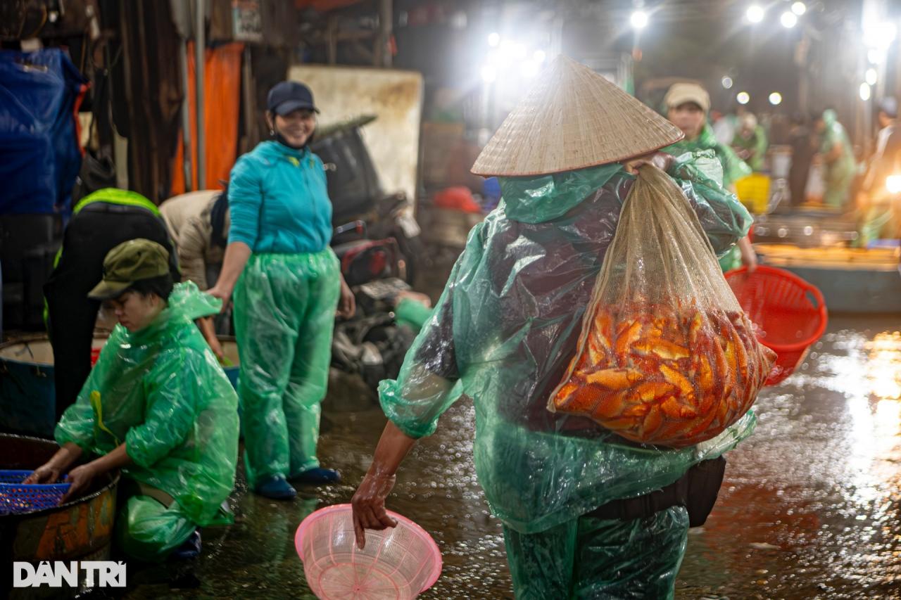 Chợ cá lớn nhất Hà Nội tấp nập, tiểu thương vẫn lo vì cá chép đỏ rớt giá - 11 Chợ cá lớn nhất Hà Nội tấp nập, tiểu thương vẫn lo vì cá chép đỏ rớt giá - 11