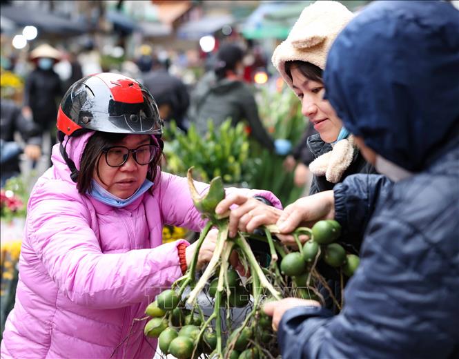 cho-dan-sinh-ha-noi-29-tet-822024-1 - Vietnam.vn Chú thích ảnh