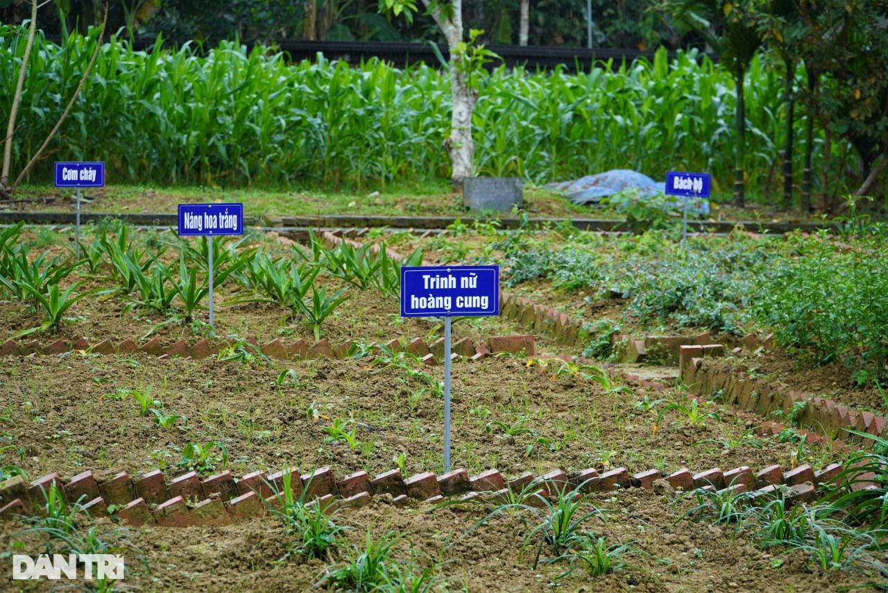 Nơi lưu giữ giá trị văn hóa - lịch sử về Đại danh y được UNESCO vinh danh - 10 Nơi lưu giữ giá trị văn hóa - lịch sử về Đại danh y được UNESCO vinh danh - 10