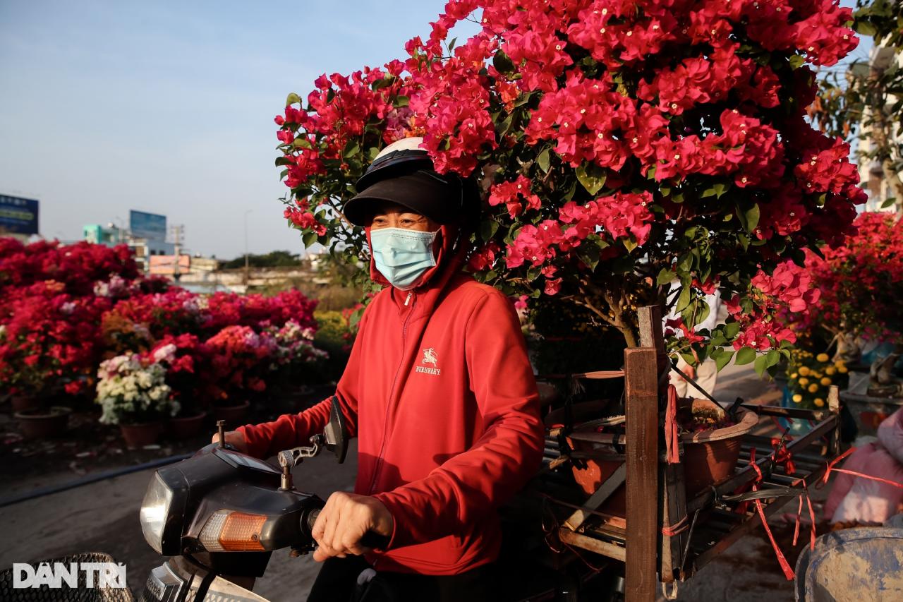Con đường dọc kênh Tham Lương rực rỡ dịp Tết Nguyên đán - 4 Con đường dọc kênh Tham Lương rực rỡ dịp Tết Nguyên đán - 4