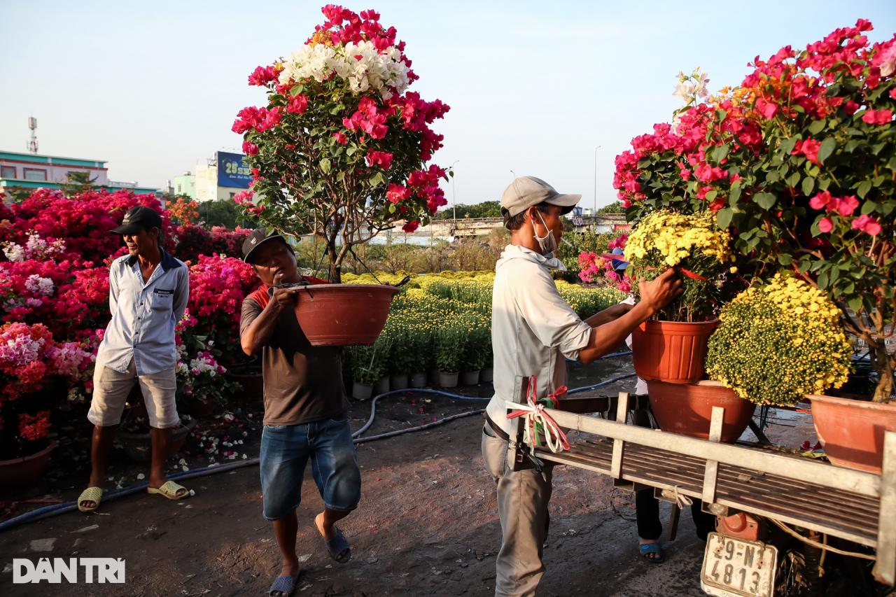 Con đường dọc kênh Tham Lương rực rỡ dịp Tết Nguyên đán - 10 Con đường dọc kênh Tham Lương rực rỡ dịp Tết Nguyên đán - 10