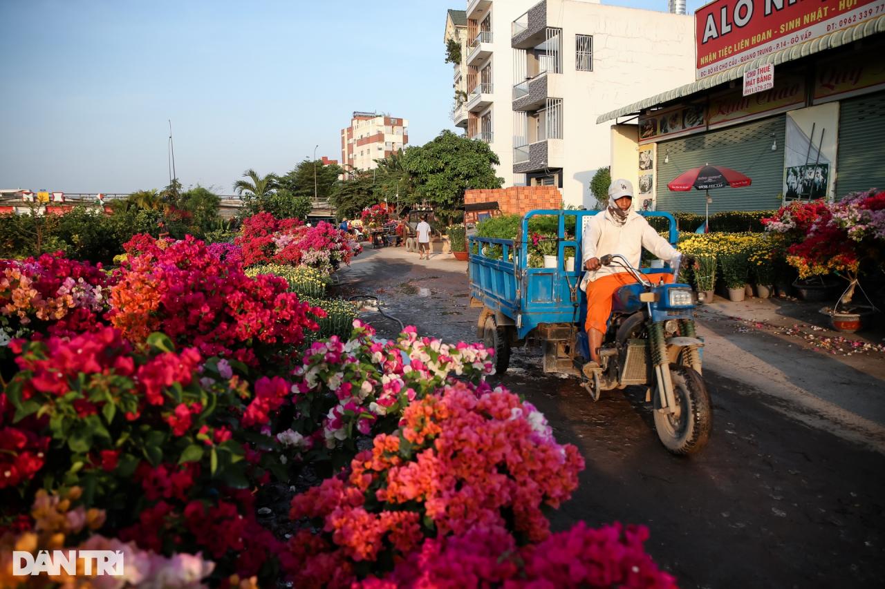 Con đường dọc kênh Tham Lương rực rỡ dịp Tết Nguyên đán - 2 Con đường dọc kênh Tham Lương rực rỡ dịp Tết Nguyên đán - 2