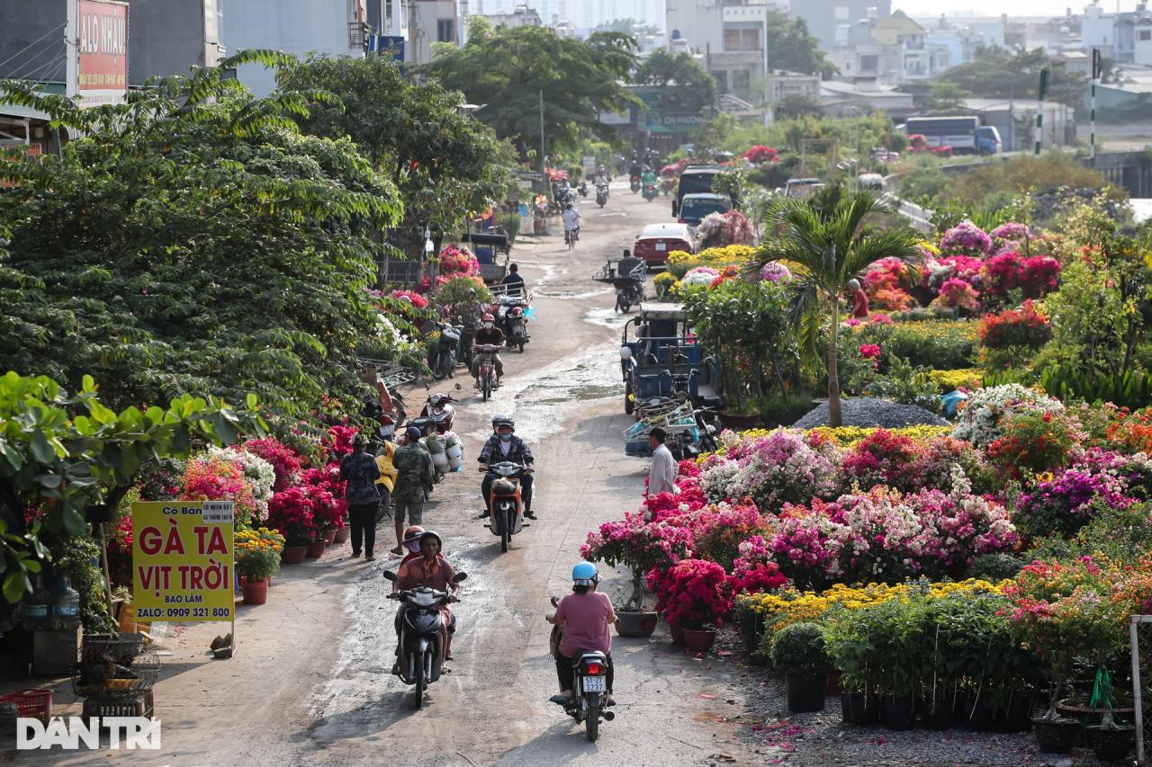 Con đường dọc kênh Tham Lương rực rỡ dịp Tết Nguyên đán - 1 Con đường dọc kênh Tham Lương rực rỡ dịp Tết Nguyên đán - 1