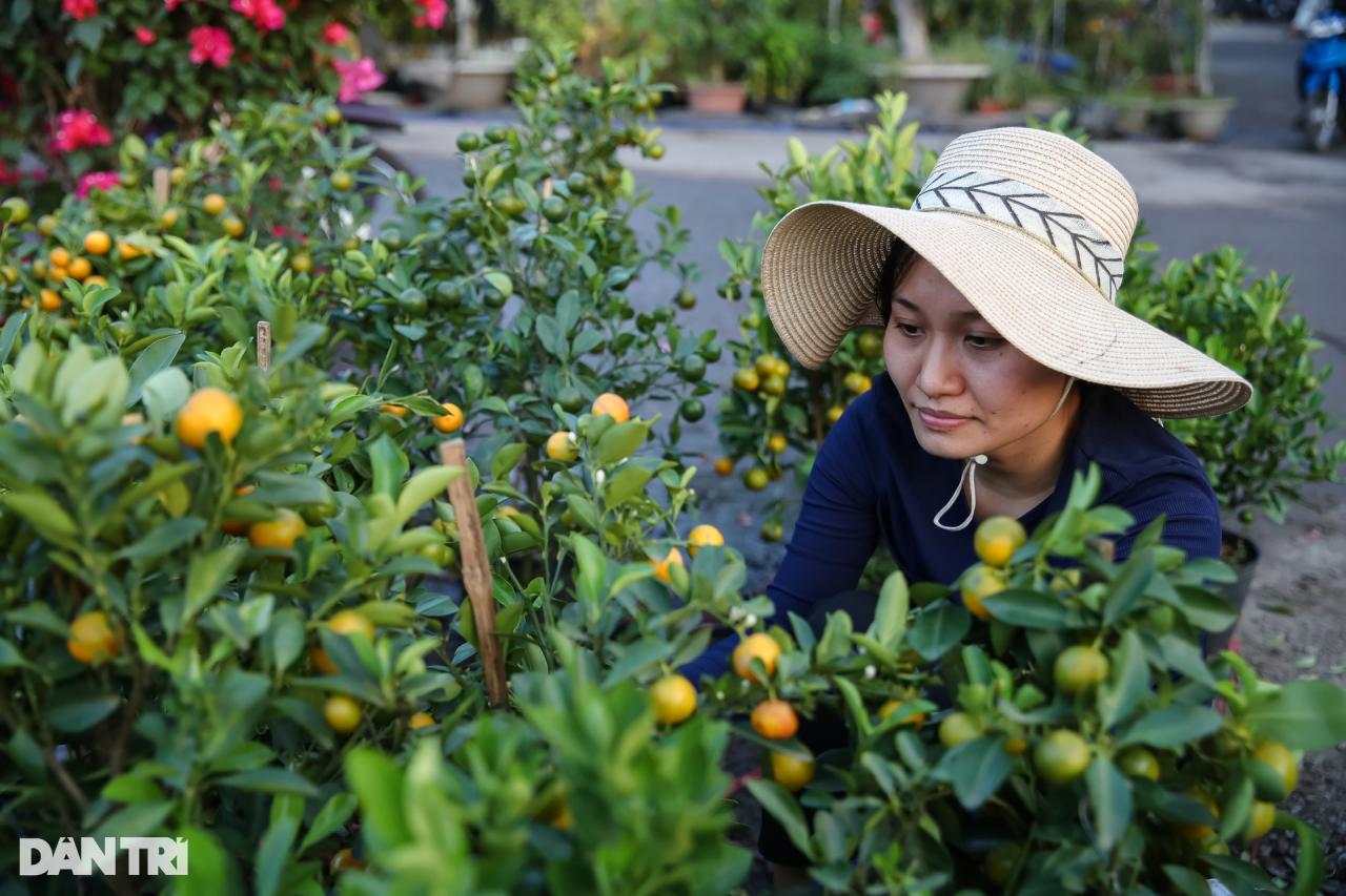 Con đường dọc kênh Tham Lương rực rỡ dịp Tết Nguyên đán - 6 Con đường dọc kênh Tham Lương rực rỡ dịp Tết Nguyên đán - 6