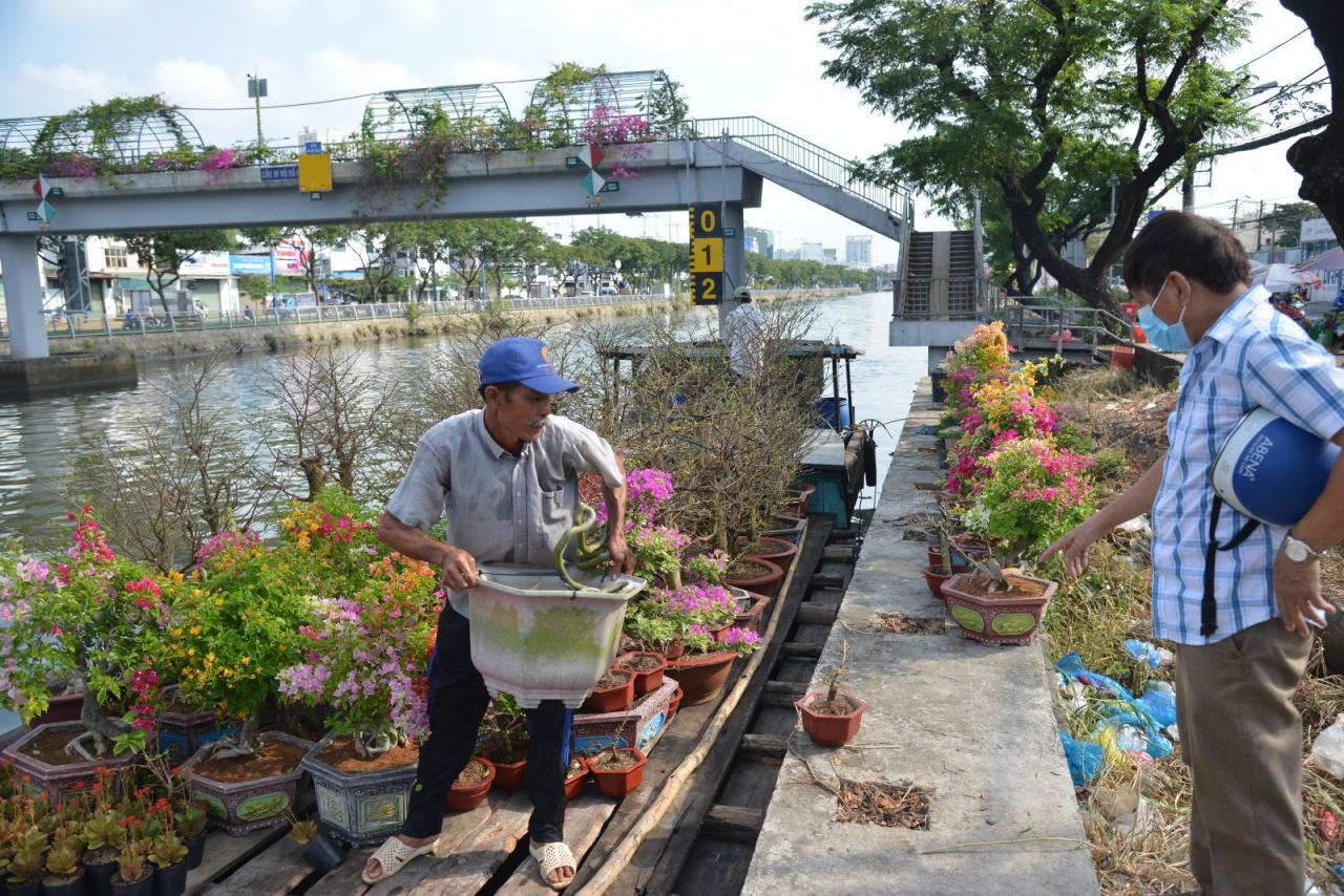 hoateoic-3-1 - Vietnam.vn Chú thích ảnh