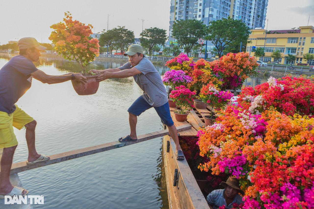 Những chiếc ghe miền Tây mang Tết đến TPHCM - 3 Những chiếc ghe miền Tây mang Tết đến TPHCM - 3