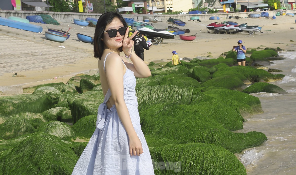 tp-u0-3339-5-6 - Vietnam.vn Bạn trẻ đua nhau đến check in 'thảm' rêu non độc đáo ở Quy Nhơn lúc bình minh ảnh 4