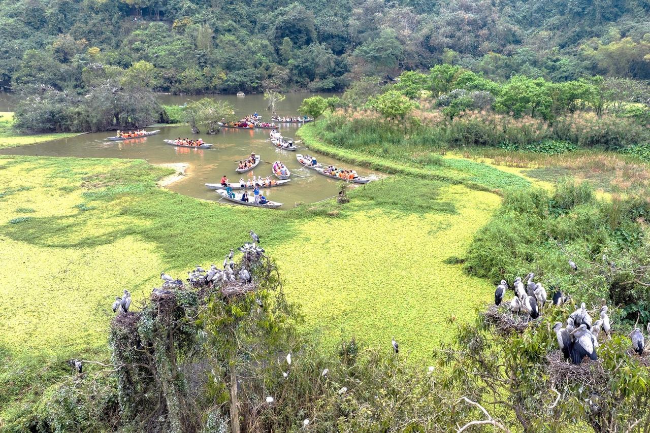 Ngắm vẻ đẹp hoang dã các loài chim ở Thung Nham - 15 - Vietnam.vn Ngắm vẻ đẹp hoang dã các loài chim ở Thung Nham - 15