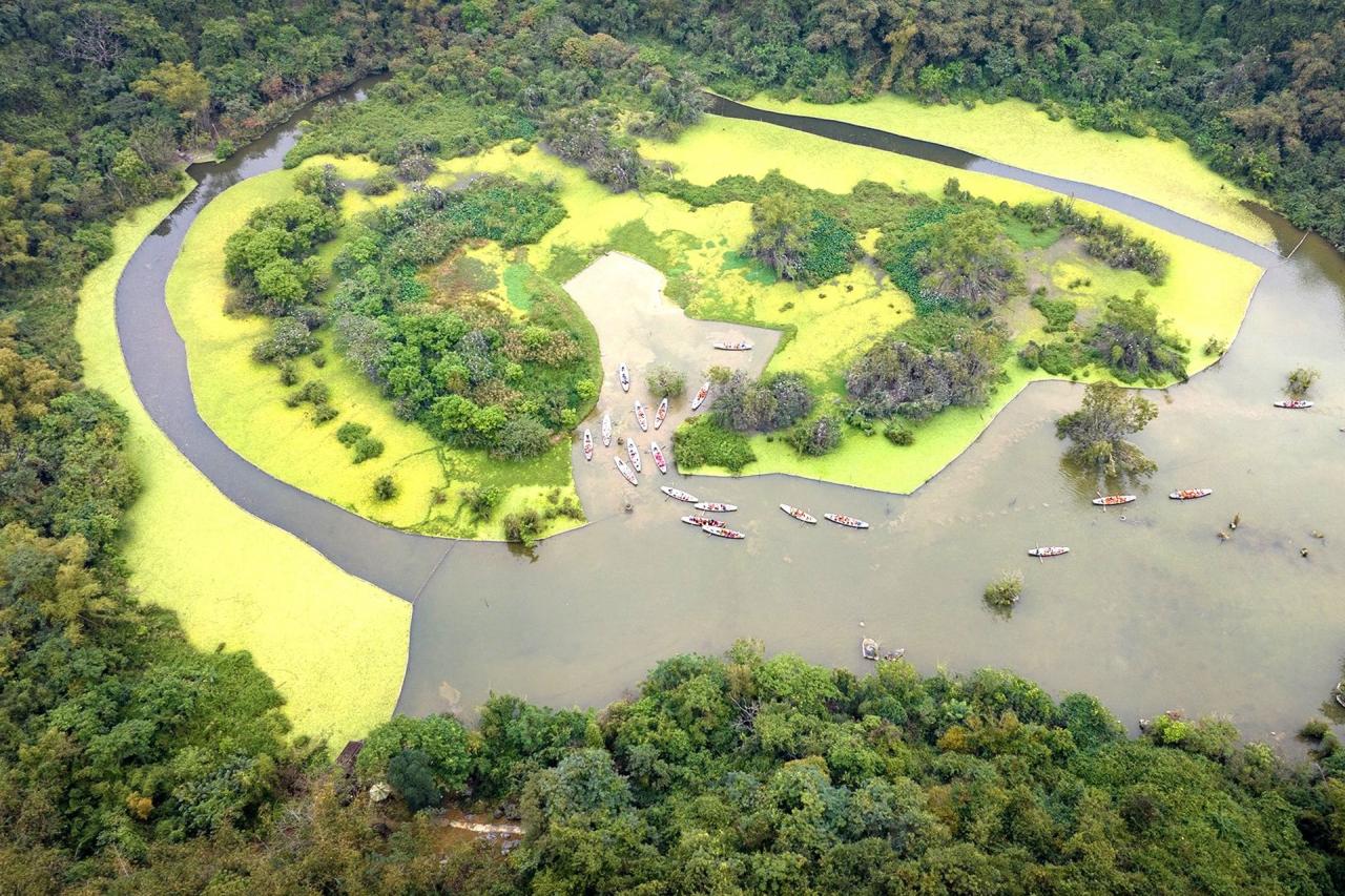 Ngắm vẻ đẹp hoang dã các loài chim ở Thung Nham - 1 - Vietnam.vn Ngắm vẻ đẹp hoang dã các loài chim ở Thung Nham - 1