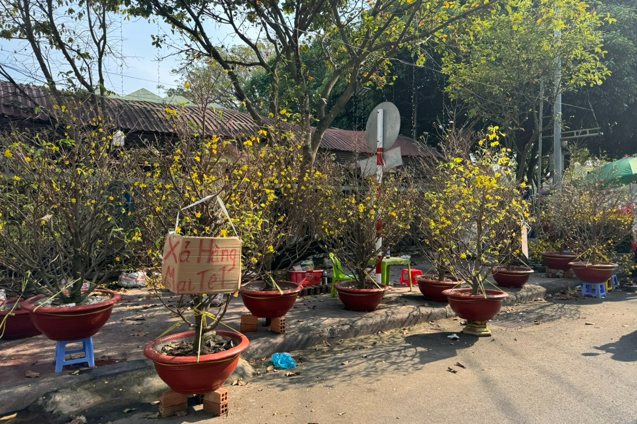 z5145158838935-01660c161472e7334f9c81035675f6f7-1-658 - Vietnam.vn z5145158838935-01660c161472e7334f9c81035675f6f7-1.jpg