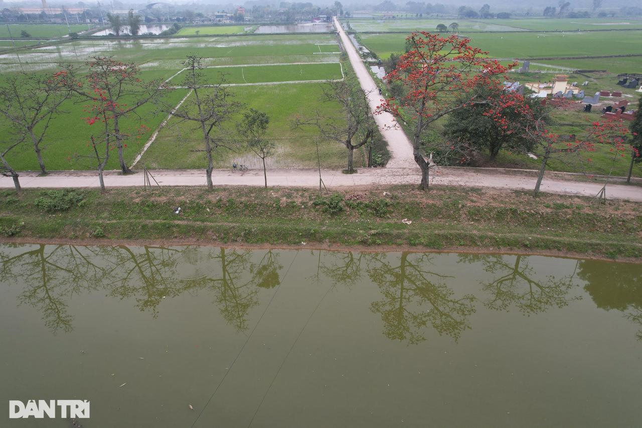 Hà Nội mùa hoa gạo nở trong sương mờ trắng - 12 Hà Nội mùa hoa gạo nở trong sương mờ trắng - 12