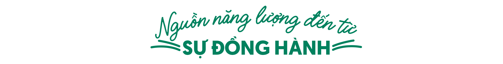 V.Rohto và hành trình lan tỏa thông điệp ‘Thấy là hạnh phúc’ - Ảnh 10. V.Rohto và hành trình lan tỏa thông điệp ‘Thấy là hạnh phúc’ - Ảnh 10.