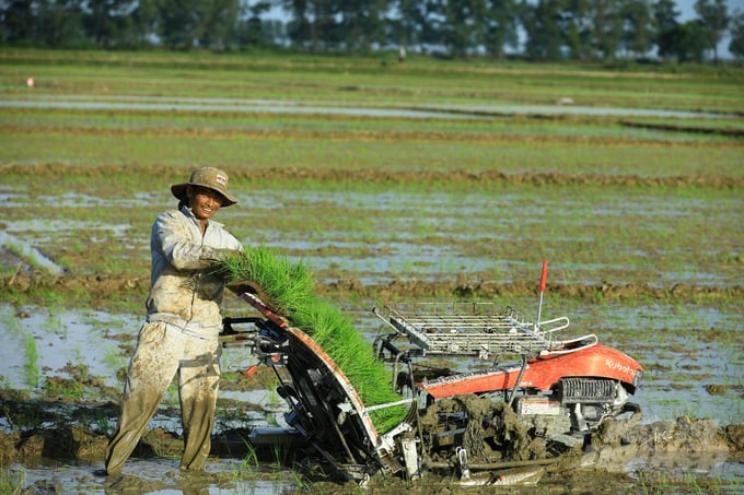 z3498581196739_39cfdaa9fa5653c69eb2ba22c24f928c-123418_197-123419.jpg Gần như tất cả các khâu từ cấy, chăm sóc lúa hữu cơ đều được cơ giới hóa. Ảnh: Võ Dũng.