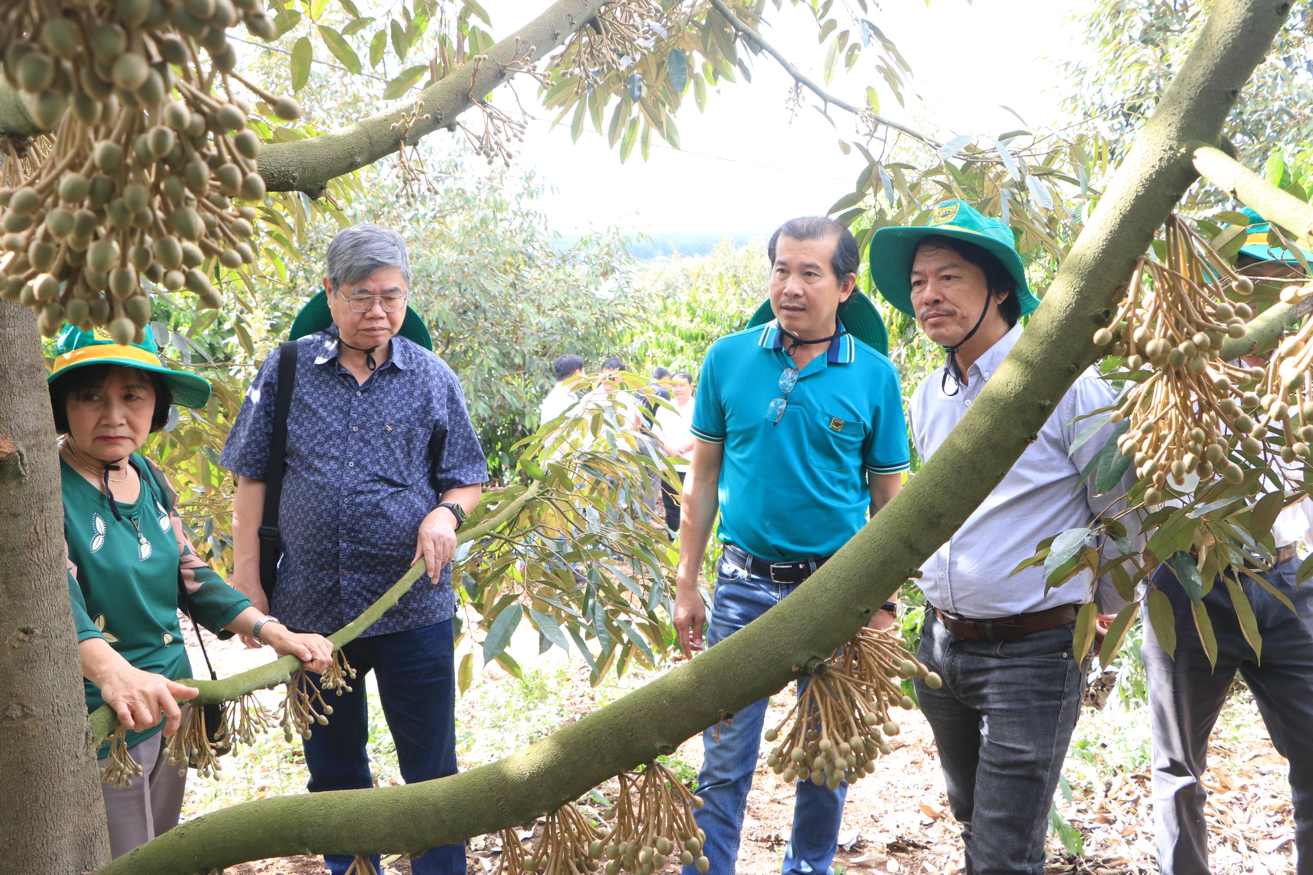 Chuyên gia, nhà khoa học đến tận vườn trao đổi với nông dân về mô hình canh tác cà phê thông minh- Ảnh 4. Chuyên gia, nhà khoa học đến tận vườn trao đổi với nông dân về mô hình canh tác cà phê thông minh- Ảnh 4.