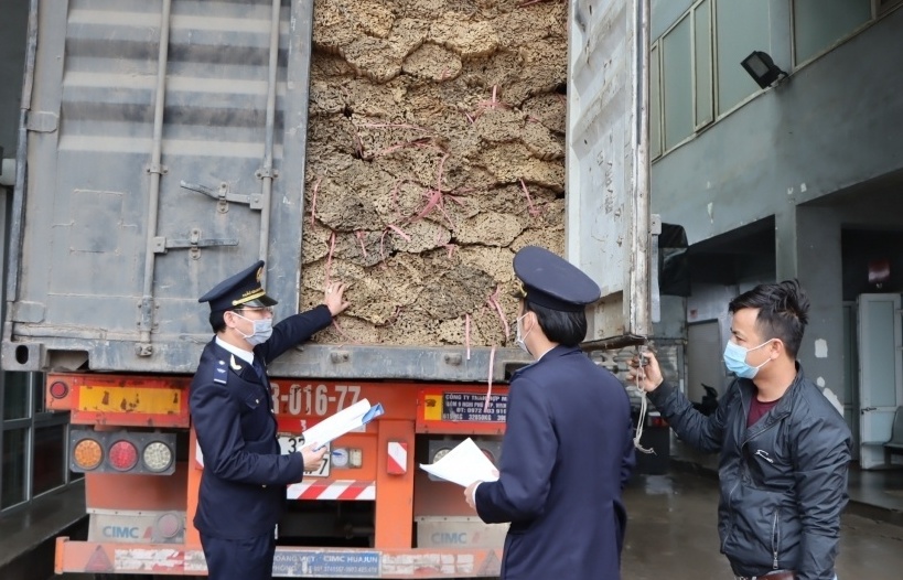 Hải quan Hà Tĩnh: Tín hiệu tích cực từ số thu ngân sách